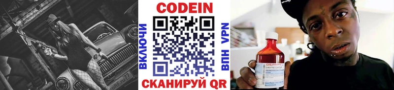 Купить закладки  Вилючинск  Codein напиток Lean (лин) 