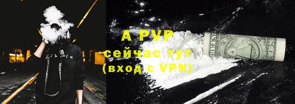 мдпв Горнозаводск