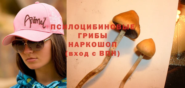 марки lsd Гусь-Хрустальный