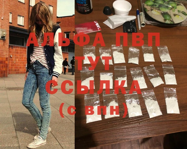PSILOCYBIN Горняк