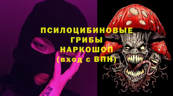 mdpv Гусиноозёрск