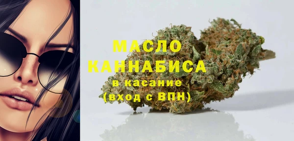 мдпв Горнозаводск