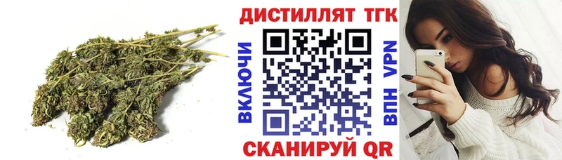 ТГК концентрат Купить где Вилючинск
