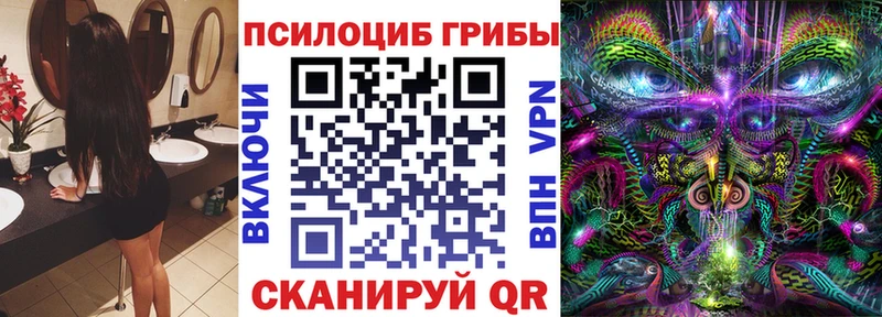 Купить  Вилючинск  Псилоцибиновые грибы мицелий 